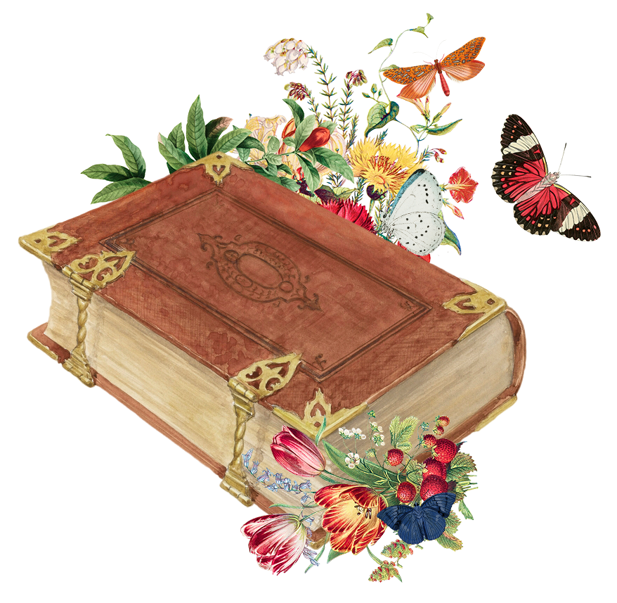 booksbrownbook
