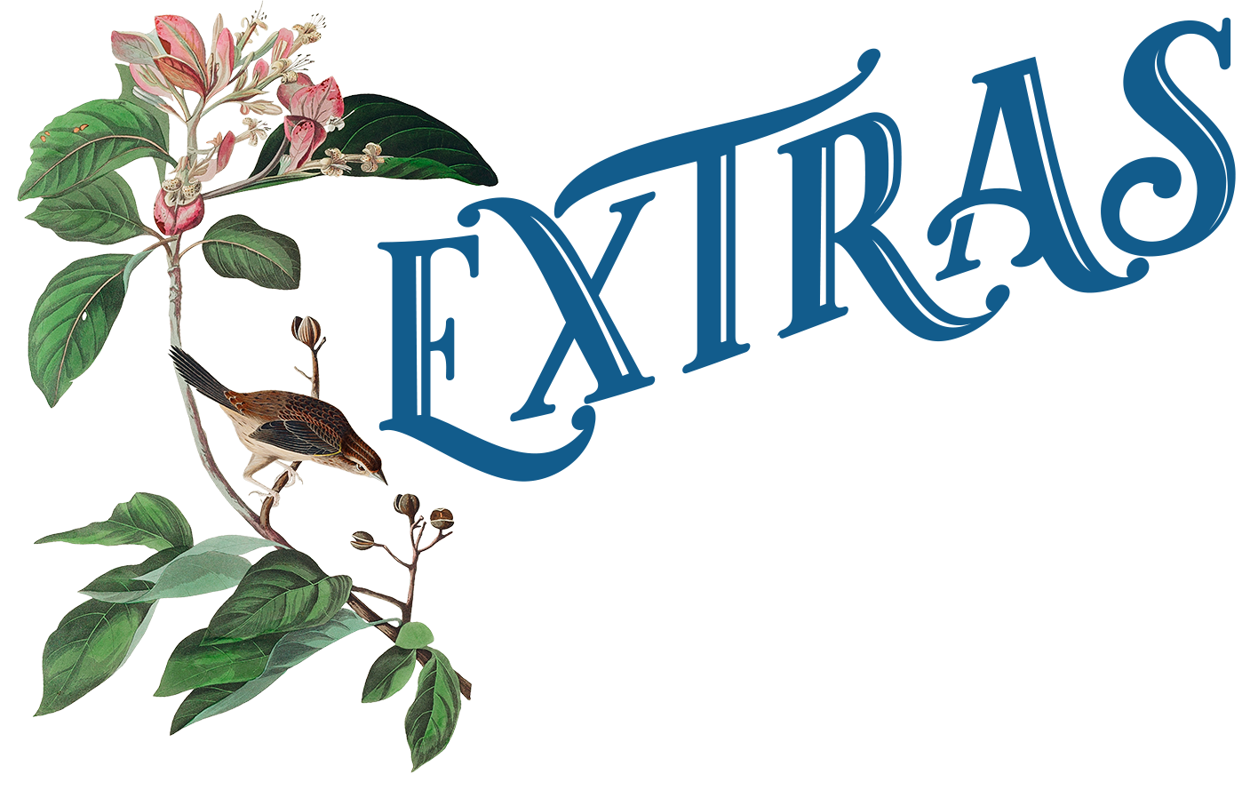 Extras